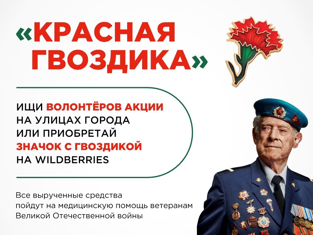С 10 апреля по 22 июня 2024 года на Вологодчине пройдет акция "Красная гвоздика".
