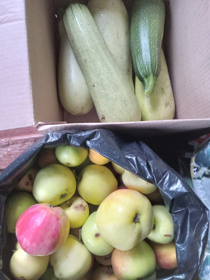 Помочь фронту может каждый!