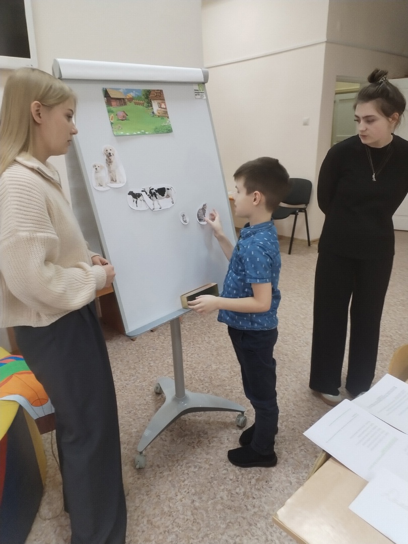 Домашние и дикие животные