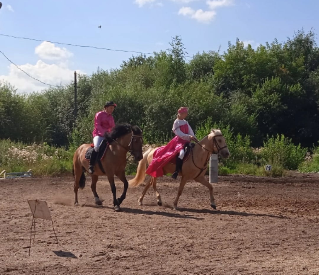 Показательные выступления для детей с ограниченными возможностями здоровья