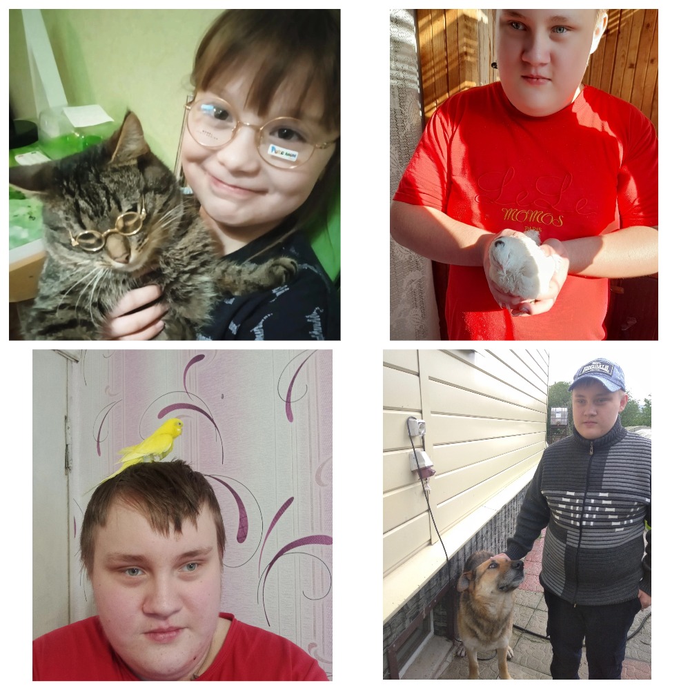 Я и мой питомец