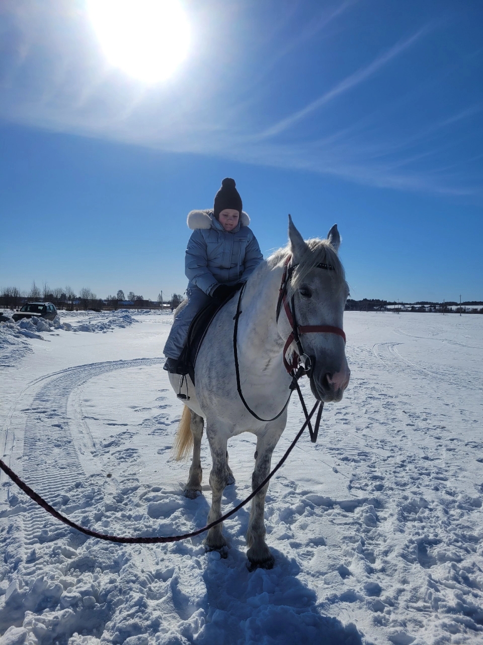 В гости к лошадям.