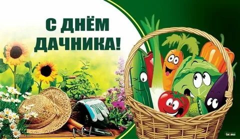 День дачника