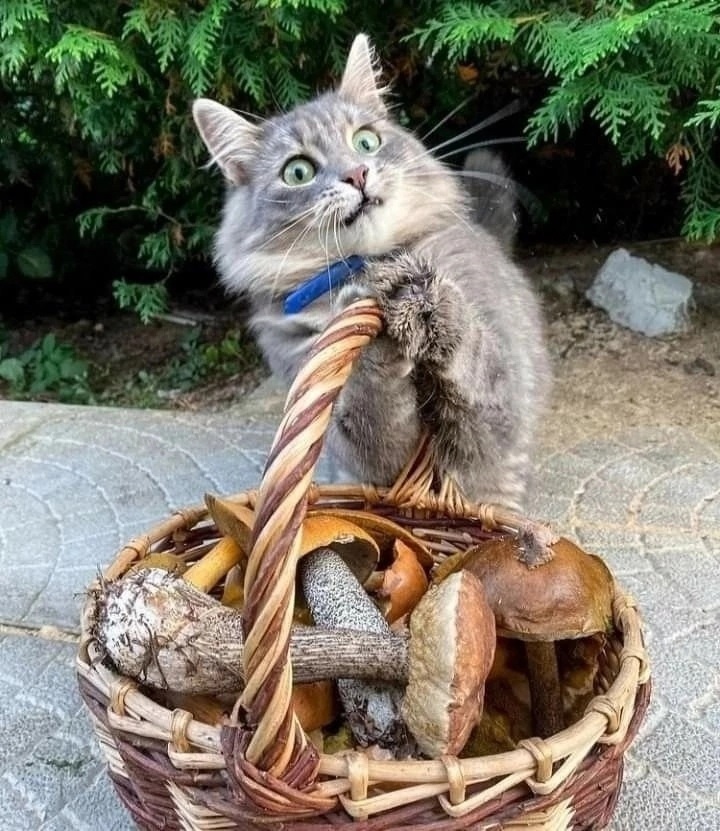 Межрайонный фотоконкурс «Образ Родины моей»