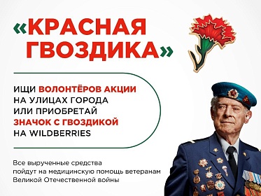 С 10 апреля по 22 июня 2024 года на Вологодчине пройдет акция "Красная гвоздика".